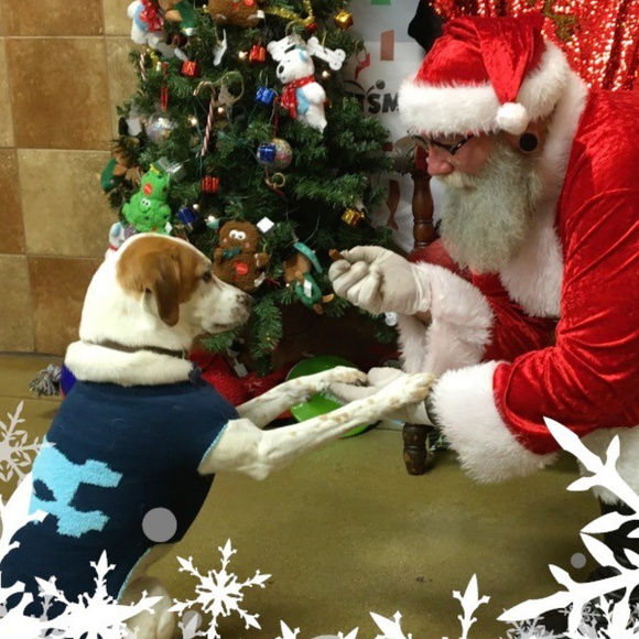 Meet your Posher, Michelle - Picture 1 of 1